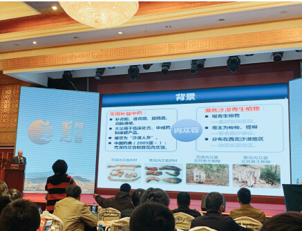 攜手科技 築夢遠航——水感肌品牌方受邀參加第十屆國際肉蓯蓉植物學