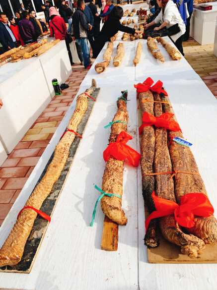 攜手科技 築夢遠航——水感肌品牌方受邀參加第十屆國際肉蓯蓉植物學